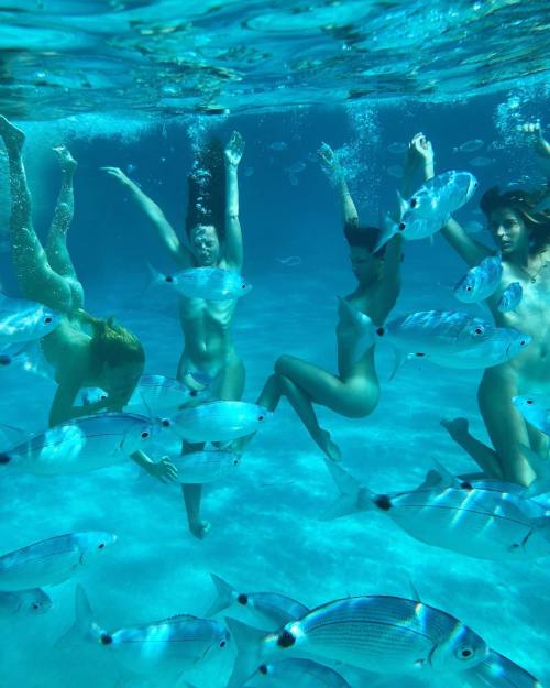 the-nauti-life: Nauti.org: Life is Better Where it’s Wetter… Many of our followers have been kind en