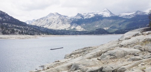 eartheld:  sidestroke:  eartheld:  mostly nature  all nature  mostly nature