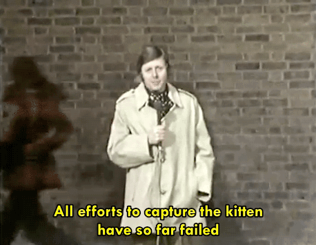 gameraboy:  The Goodies (1970), “Kitten Kong” 