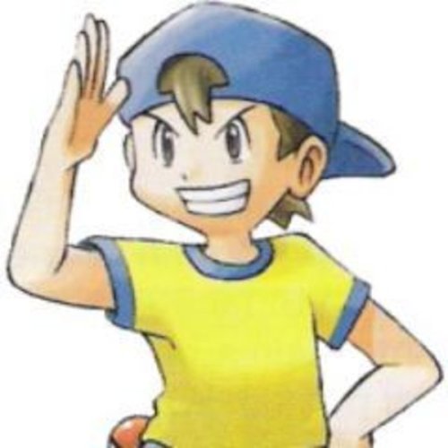 Youngster Joey from Pokemon Red is a flat earther