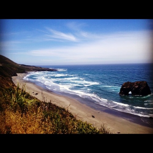 #moemeatproduction #mendo #mendolife #pacific #norcal #aboutthislife #mellow #nature