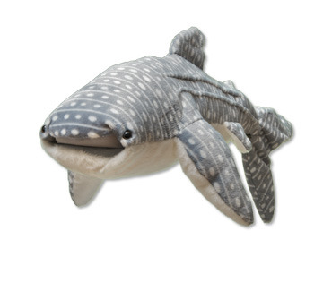 Porn silverhawk: shark plush moodboard photos