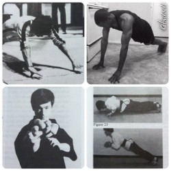 bruceleeshrine:  SKILLED HANDS  The hands