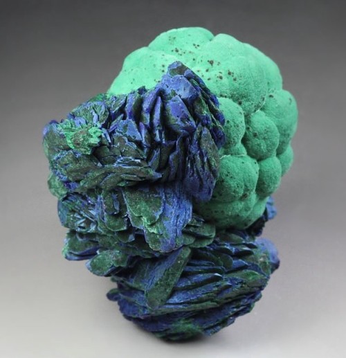 Malachite and Azurite - Kamenushinskoe (Cu) deposit, Salairsky mine, Guryevsky area, Kemerovo region