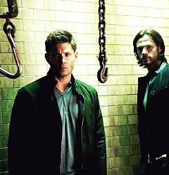 jensenwinchster-blog:  Supernatural in The CW “TV Now” Fall Promo 2013 (x) 