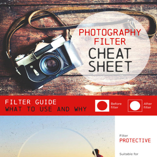 Guide to Photographic Filters for Camera Lenses - Infographic