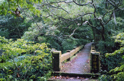 sontury:   	桃仔腳橋 by Gilles Pao    	Via Flickr: 	Fujifilm Klasse Kodak Ultramax 400   