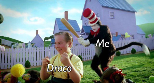 Literally The Only Reason I Have A Hogwarts DR