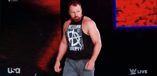 ambrollinsasylum:  The WWE Universe:
