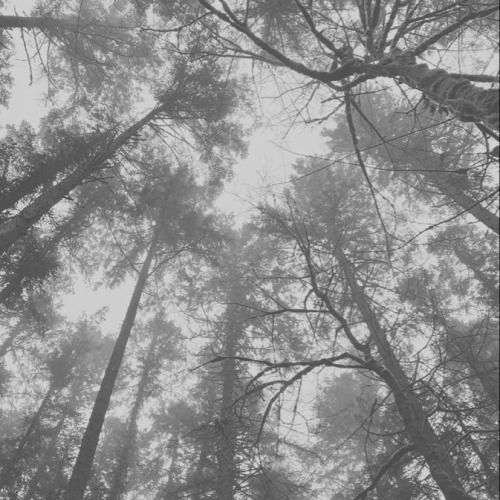For The Hope Of It All | Part One