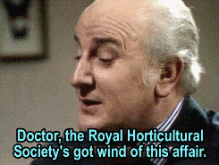 cleowho:“They’d rather like you to address one of their meetings.”The Seeds of Doom - season 13 - 19