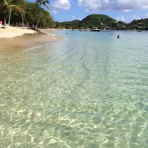 madininamada: Repost from Instagram ! #WeLike ! #Madinina by @rosyofficiel “Oh my god #Martini
