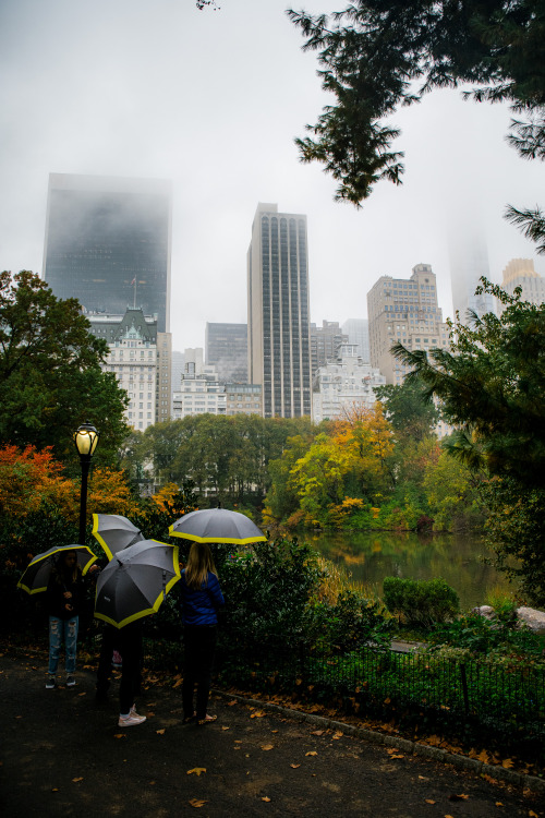 Romantic Autumn mornings in Central Park.