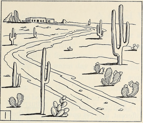 nemfrog: Desert sketch. Think-and-Do Book to accompany More Streets and Roads. 1940. 