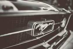 ford-mustang-generation:  Mustang by simonburgess7