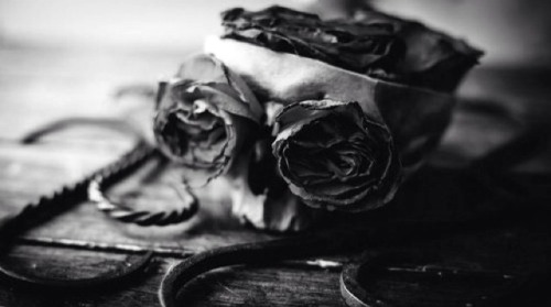 twopigment:  Unknown Edit by Twopigment