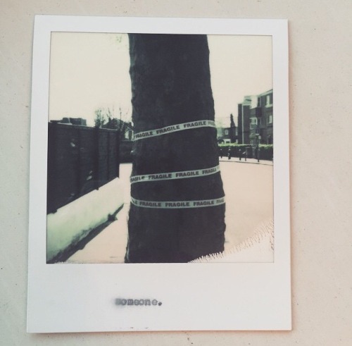 jxtapose:Okay guys so I think the captions on the Polaroids are song titles. The 3rd one down on the