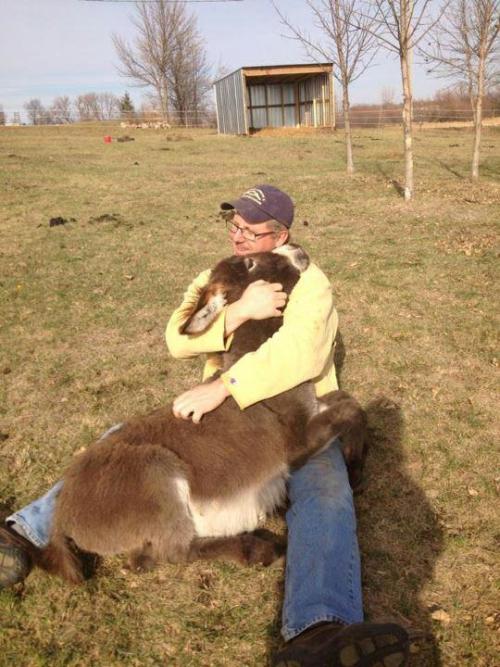 ecologicallybleak:cute-overload:Just my dad… cuddling our donkey.http://cute-overload.tumblr.comDonk