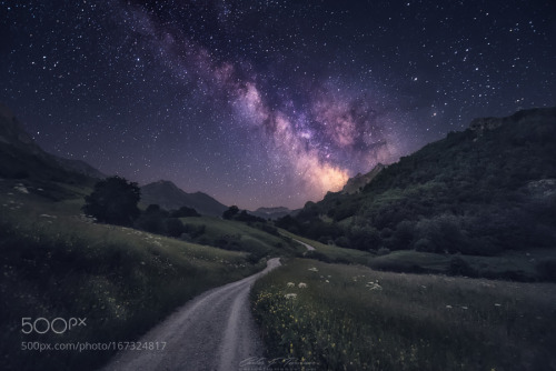 superbnature:Path to the Stars by darkrigel