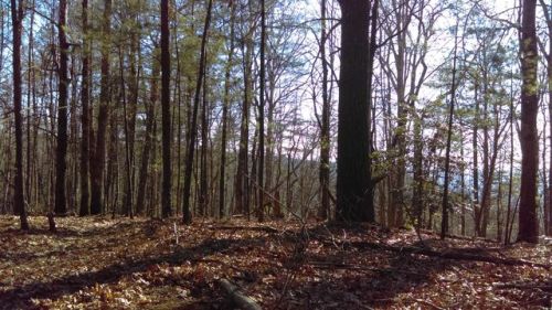 mountainbikeadventure: Dropping in Sinkhole, Wilson Creek NC Dec 2017