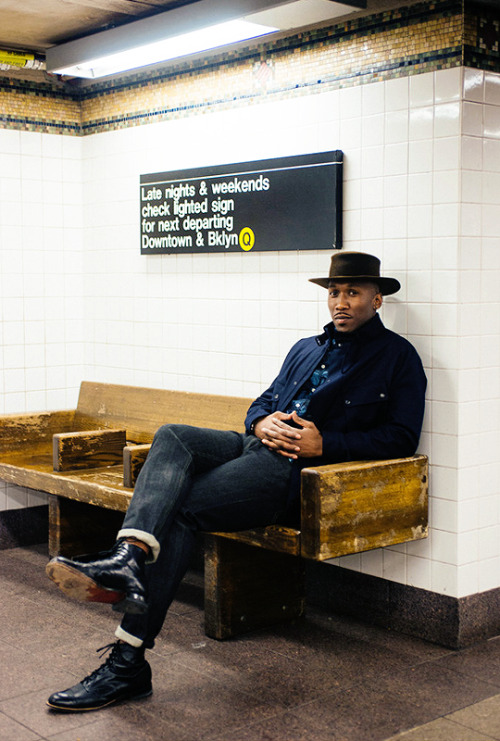 paulthomasandersons:Mahershala Ali photographed by Christina von Messling for Brooklyn Magazine