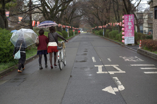 ochabang:IMG_3714 by tohru_nishimura on Flickr.