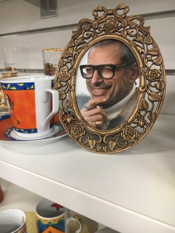 danascullys:someone who works at our local opshop/thrift shop just put goldblums in every single photo frame in the store