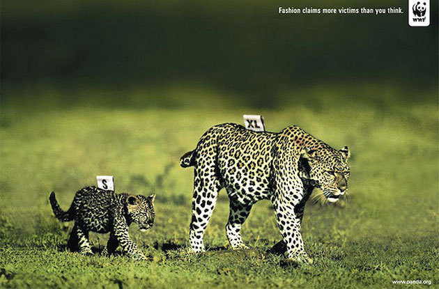 jedavu:  POWERFUL ANIMAL AD CAMPAIGNS