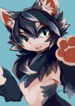 Rady-Wolf:kemono :D