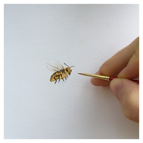  #art #artandsuch #painting #illustration #bee #insect #watercolor