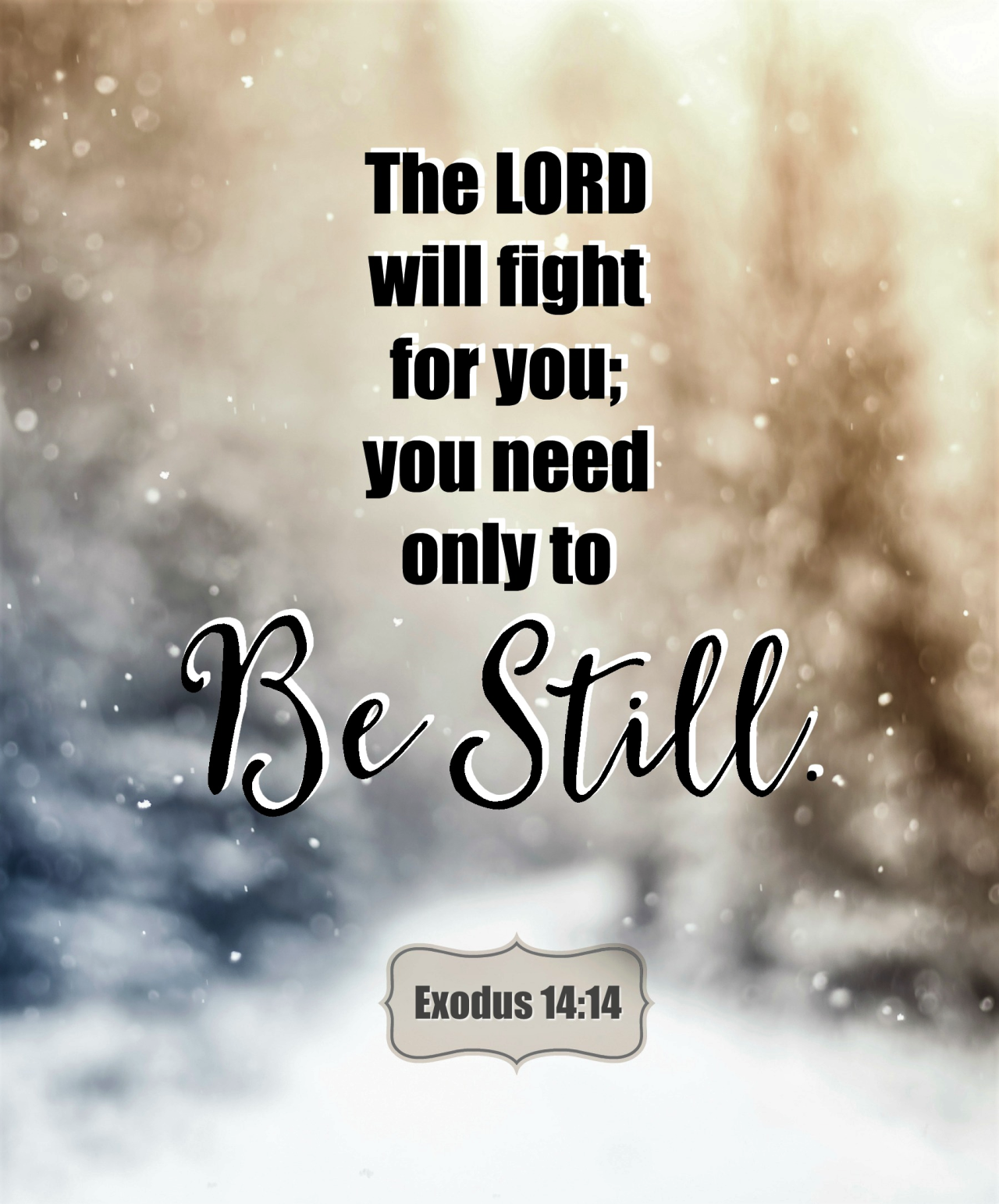 Exodus 1414 Inspirational Images