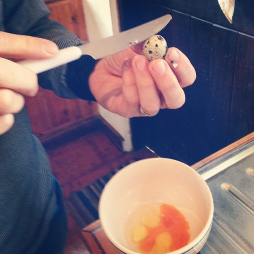 Quail egg omelettes in process. Note the wildly varying colors of the yolks. #africa