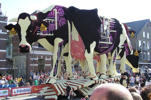 Bloemencorso Zundert is the largest flower parade in the world entirely made by volunteers. The para