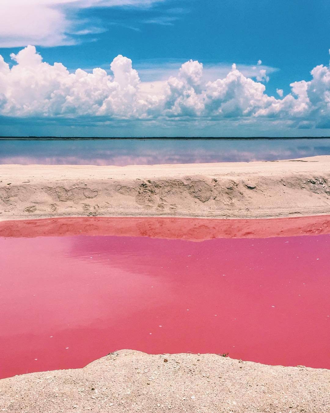 lesbian-lily:  fatbengal:  bobbycaputo:    Naturally Pink Lagoon in Mexico Is Like