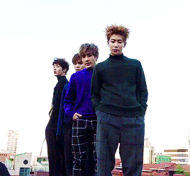 sanhapup:  preview for high cut