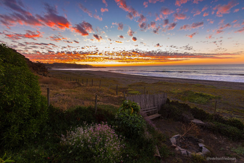 landscapechile