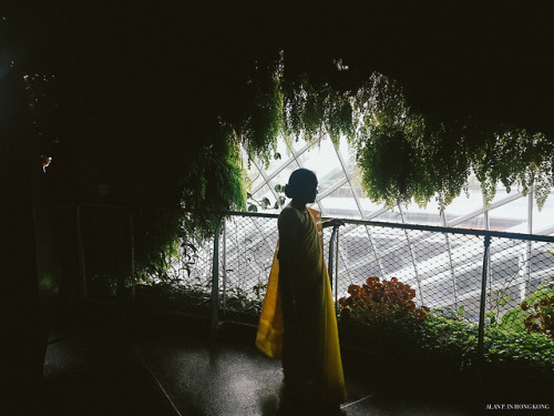 [ 花園國的迷想 ]我遊新加坡其中一個最大的目的就是到濱海灣花園，從構思圖、到落實興建、到開幕、到網上報導我都有一一留意，不得不提就是我一直只有想和望，從來沒有出行的念頭，外遊就是回鄕拜山或公司公幹。