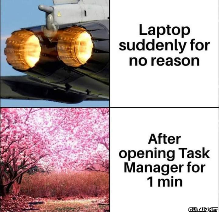 Laptop suddenly for no...