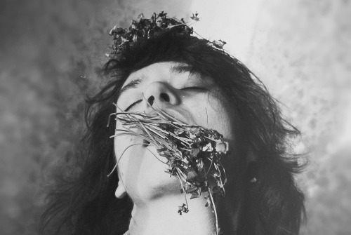 knizova:  Untitled (2013) 