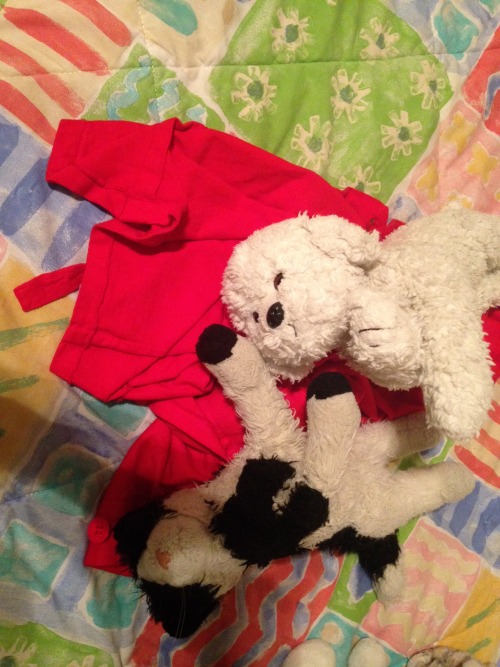 My stuffed animals ended up like this on my jacket. Chienjolras and Chataire.