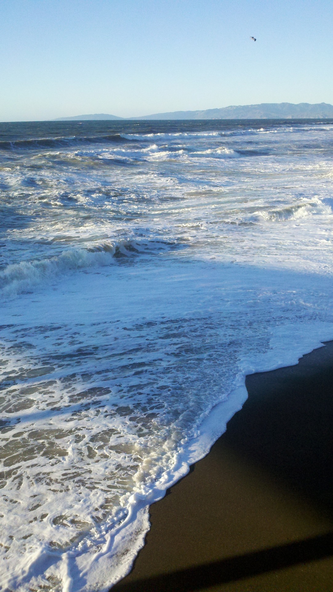 petriphoria:  Pacifica 2014 