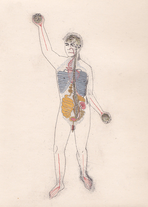 darksilenceinsuburbia:  Harriet Lee-Merrion Plato’s Symposium #1, 2, 3, 4, 5 & 6  Tumblr 