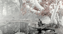 nxpotter: get to know me meme: [1/10]  tv shows“There are no heroes…in life,