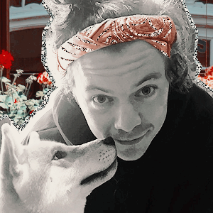 Harry Styles Icons (x) - (please Reblog/like If You Use/save) - Request Here!- INSTAGRAM - TWITTER