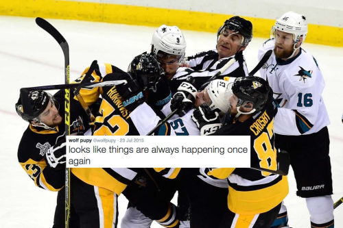 Pittsburgh Penguins + Wolf Pupy