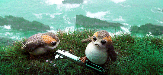 likeapromises: Star Wars: The Last Jedi (2017)
