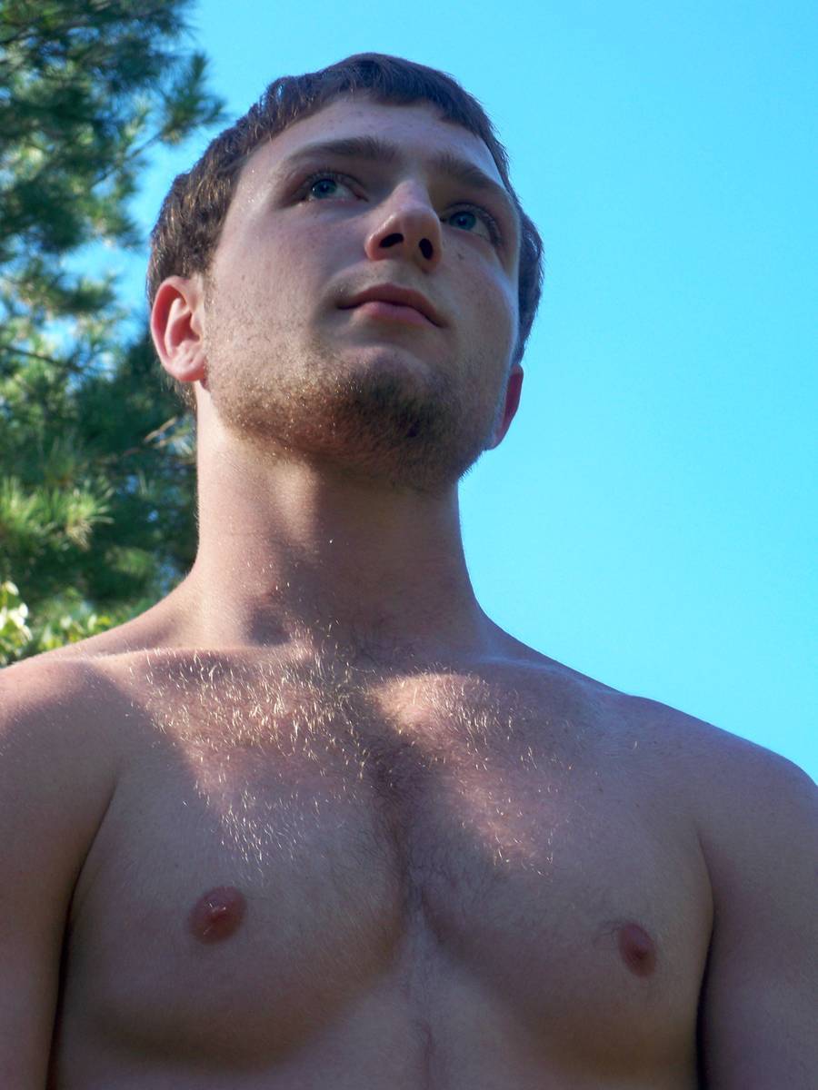 Bottom Bear