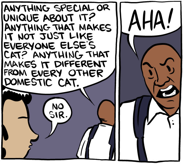 mustangsally78:  pleatedjeans:  smbc comics  WHAT KIND OF CAT DO YOU HAVE?SHE’S