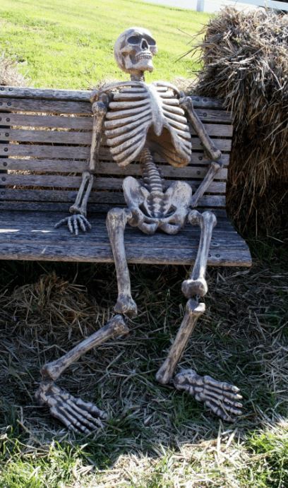 Me Waiting For an Official Statement from Maria Bello or CBS