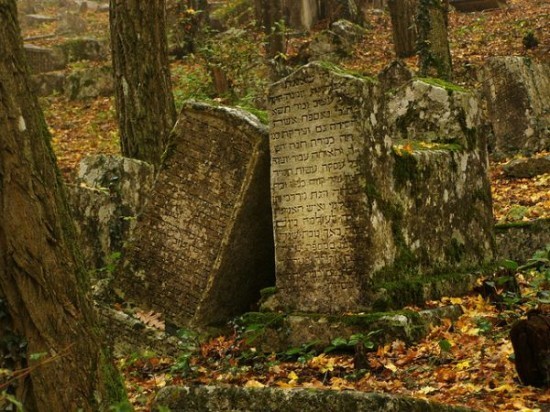 madmothmiko:  Karaite Cemetery (Crimea)  Hidden in wooded Iosofatova Valley near